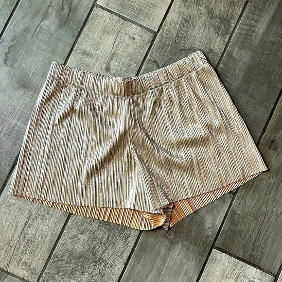 NWT Victoria’s secret pleated metallic silver Shorty shorts women’s small new - Picture 1 of 4